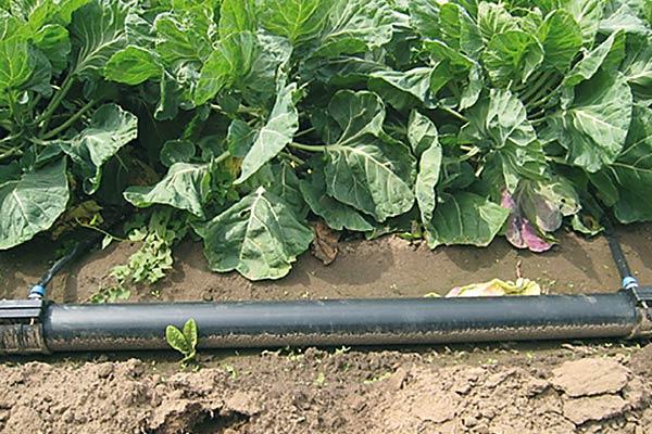 Micro irrigation systems 