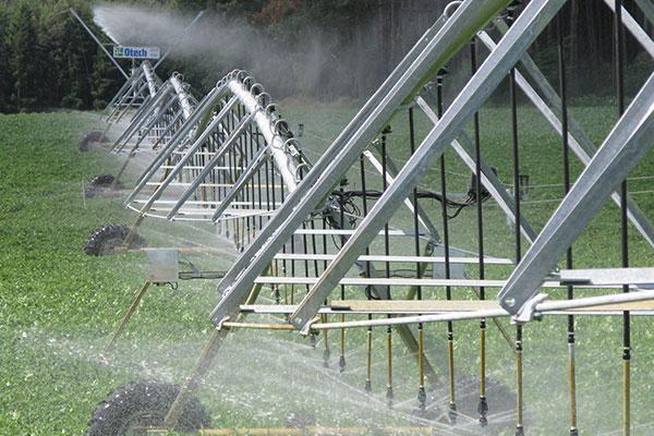 Linear irrigation system 